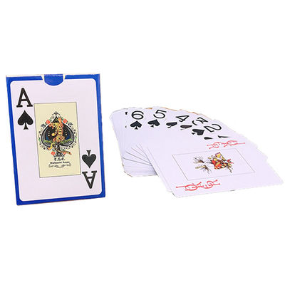 Pantone Colors hard Waterproof Plastic Playing Cards OEM ODM